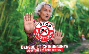 « STOP MOUSTIQUE ! », Dengue et Chikungunya, adoptons les bons gestes !