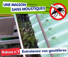 Profitons de l'hiver : des astuces pour une maison sans moustiques !