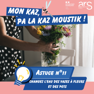 Astuce n°11 : Changez l’eau des vases à fleurs et des pots