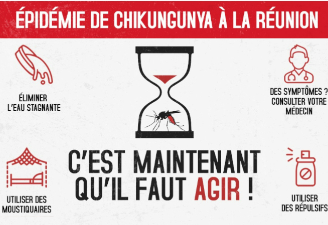 Epidémie de chikungunya à La Réunion : c'est maintenant qu'il faut agir ! 