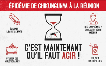 Epidémie de chikungunya à La Réunion : c'est maintenant qu'il faut agir ! 