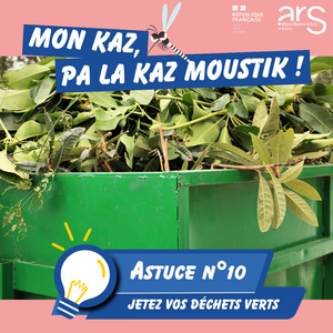 Astuce n°10 : Jetez vos déchets verts